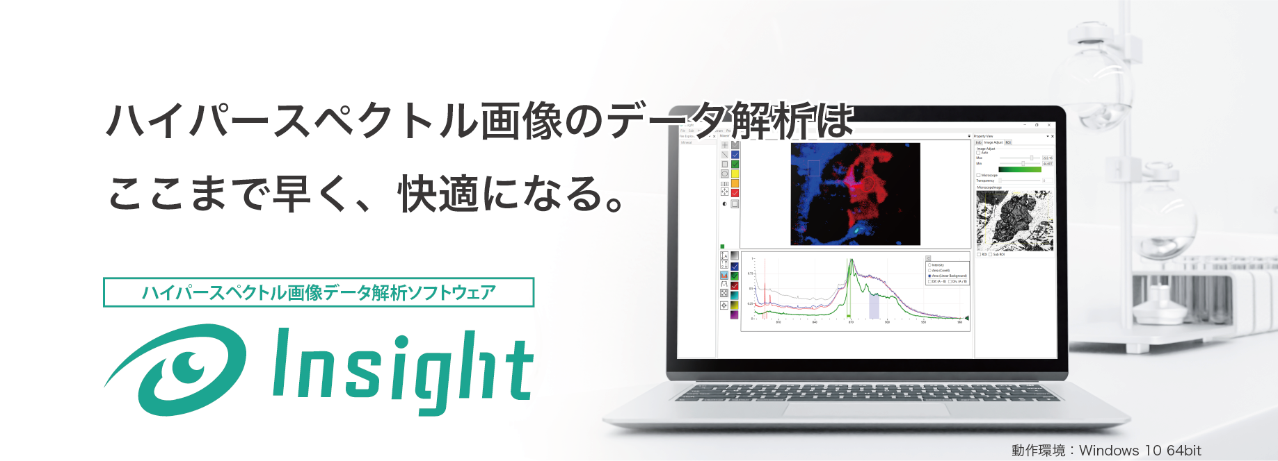insight